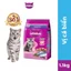 Thức ăn cho mèo con WHISKAS dạng hạt 1.1 kg.