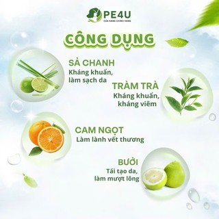 Xịt Ve Rận Chó Mèo PE4U Giúp Ngừa Ve Rận Bọ Chét, Côn Trùng Trên Lông Da, Chỗ Ở Của Thú Cưng - 50ml