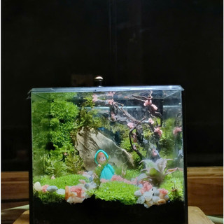 Terrarium " Cỏ Mộng Mơ " quà tặng sinh nhật ý nghĩa