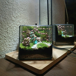 Terrarium " Cỏ Mộng Mơ " quà tặng sinh nhật ý nghĩa