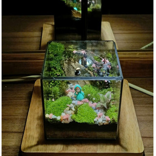 Terrarium " Cỏ Mộng Mơ " quà tặng sinh nhật ý nghĩa