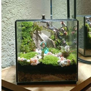 Terrarium " Cỏ Mộng Mơ " quà tặng sinh nhật ý nghĩa