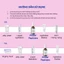 Tinh Chất Kích Thích Tăng Sinh Collagen,Giảm Nếp Nhăn,Phục Hồi Geek&Gorgeous Power Peptides 30ml
