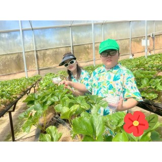 Áo đi biển nam nữ vải kate hoạ tiết lá xanh thoáng mát