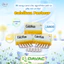 Viên uống bổ sung canxi phòng ngừa loãng xương Calcikua sx bởi Viện Pasteur Đà Lạt