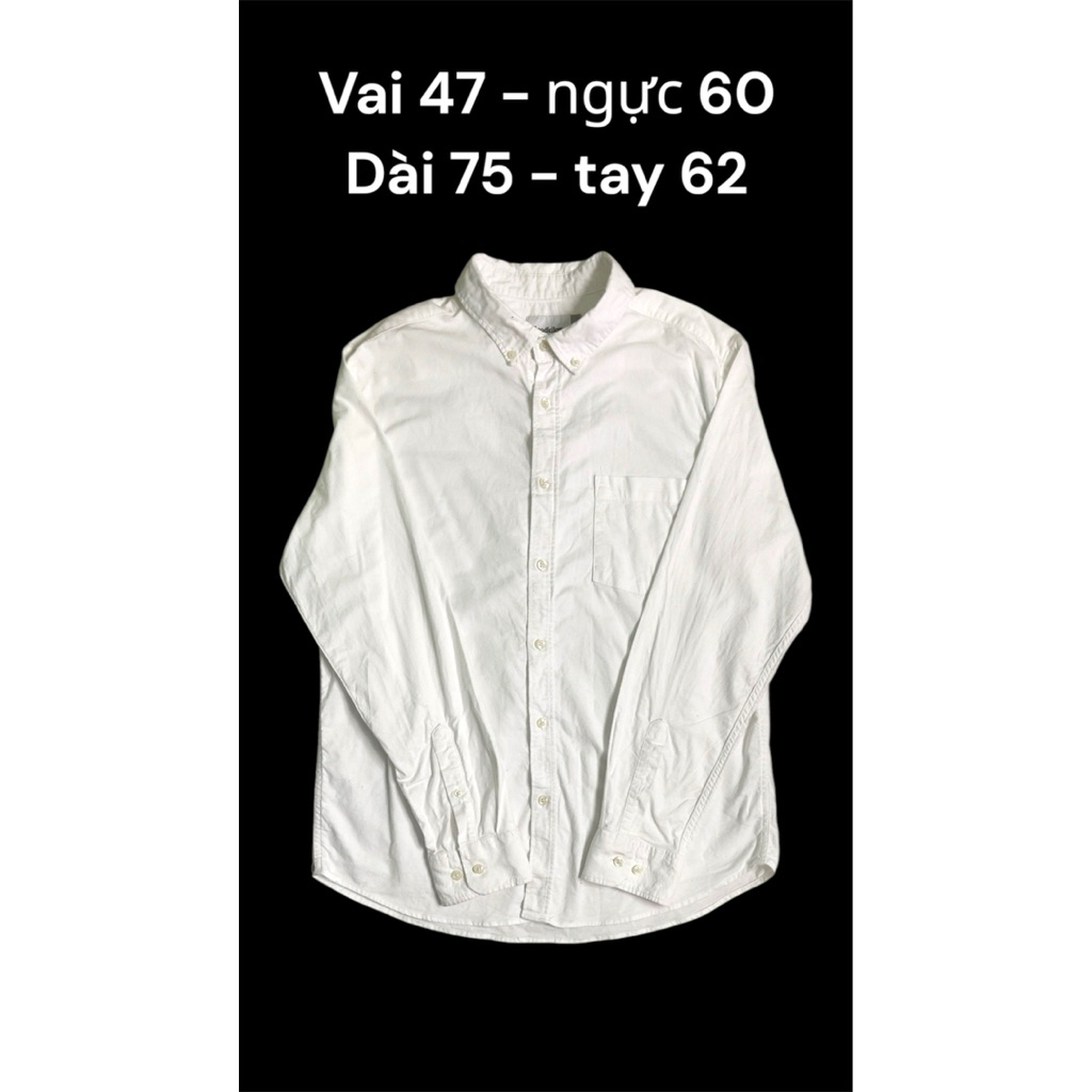 sơ mi oxford dày - size L