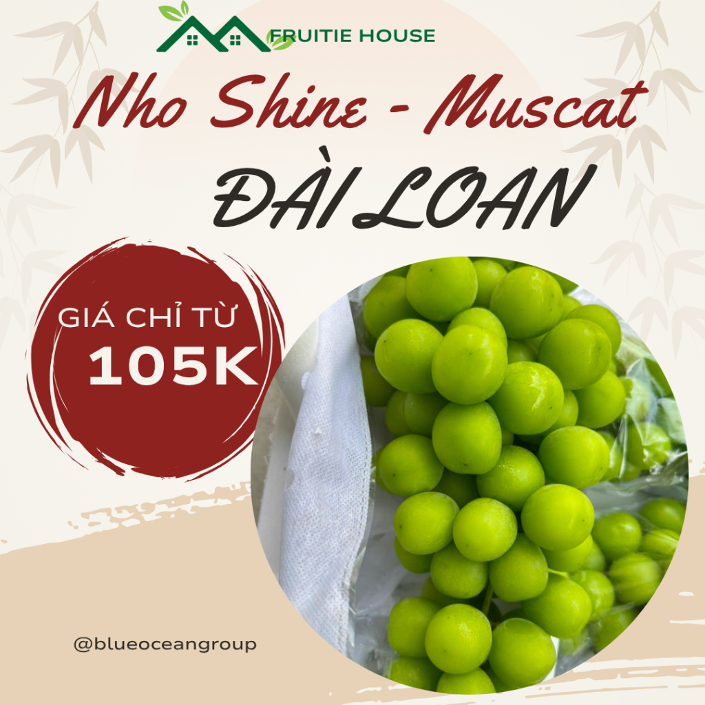 Shine Muscat ✨ Nho Mẫu Đơn Căng Bóng – Siêu Ngọt, Thơm Lừng – Giao Nhanh HCM- hộp 550-700g