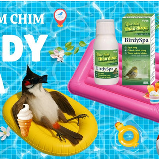 NƯỚC TẮM THẢO DƯỢC BIRDYSPA CHO CHIM CẢNH chai 100ml Vb Pharma Sạch lông Giảm ký sinh trùng thơm mát