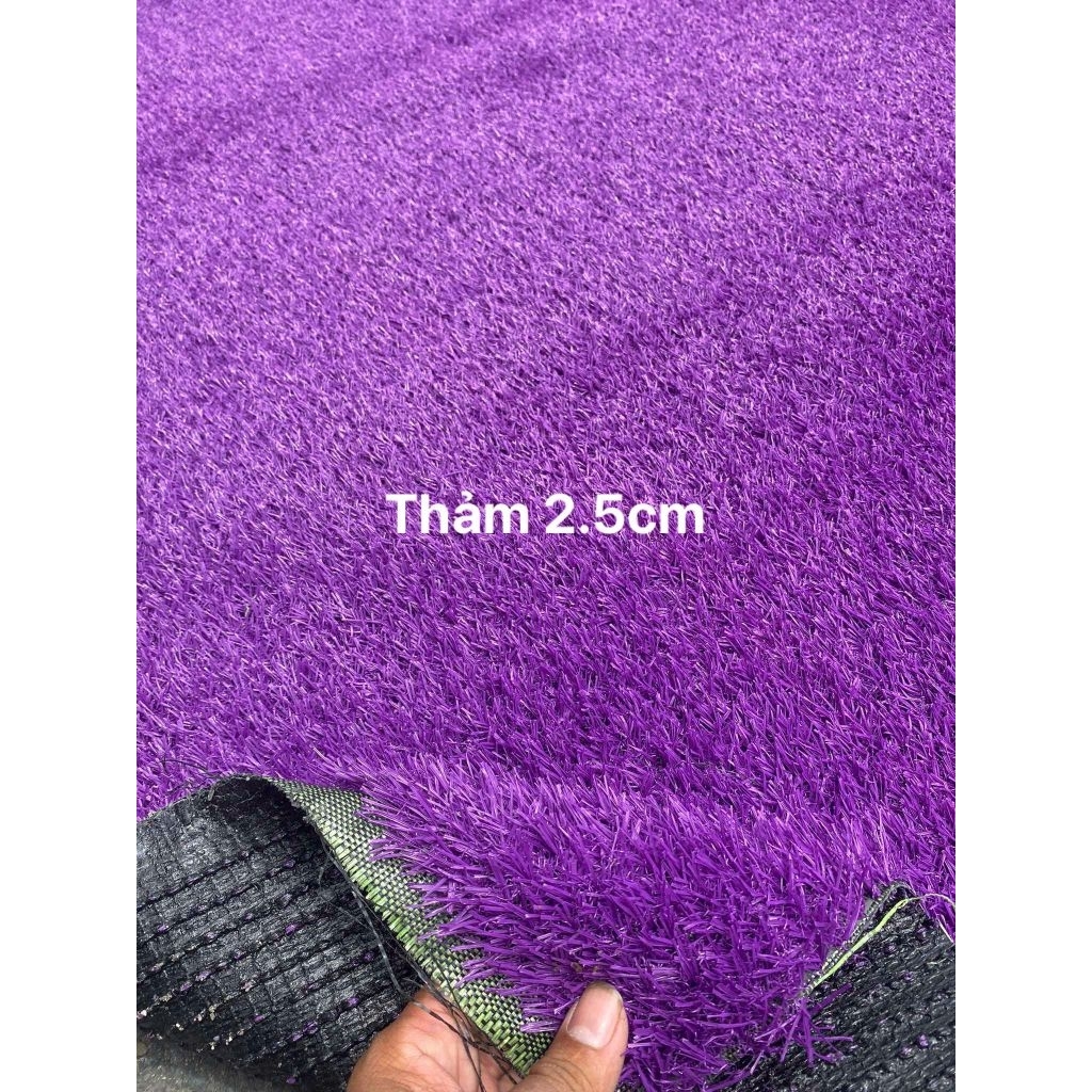 Thảm cỏ nhân tạo màu, Combo 20m2(2 x 10m) sợi 2,5cm trang trí sân vườn, trường học, khu vui chơi