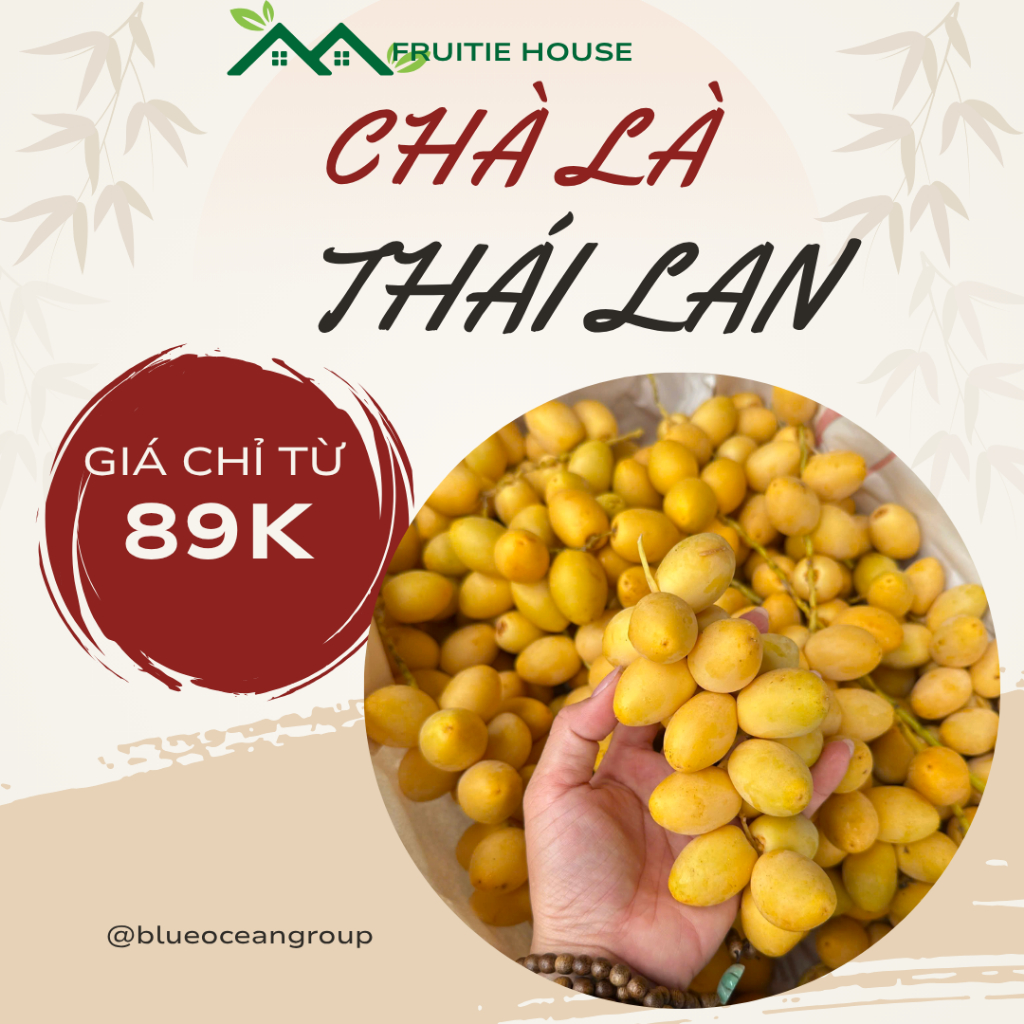 (Hỏa tốc HCM) Chà Là Tươi Nhập Khẩu Loại VIP Ngọt Mát – Dẻo Tự Nhiên – Giao Nhanh Trong Ngày