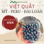 Việt Quất Hàng Bay VIP Từ Mỹ – Peru – Trái To, Tươi Cứng, Giòn Ngọt Hết Ý