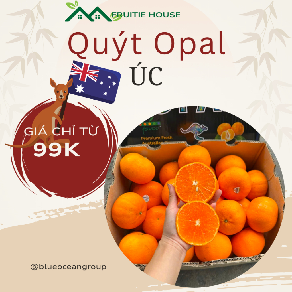 Quýt Úc Siêu Ngọt 🍊 Trái Căng Bóng – Vị Ngọt Mát Lành – Giao Nhanh Tận Nhà