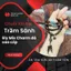 Vòng tay chuỗi hạt bằng trầm hương sánh chìm 6mm 108 hạt mix charm đá cao cấp ngũ điếu làm ngọc, bi và:ng10k - Nam nữ