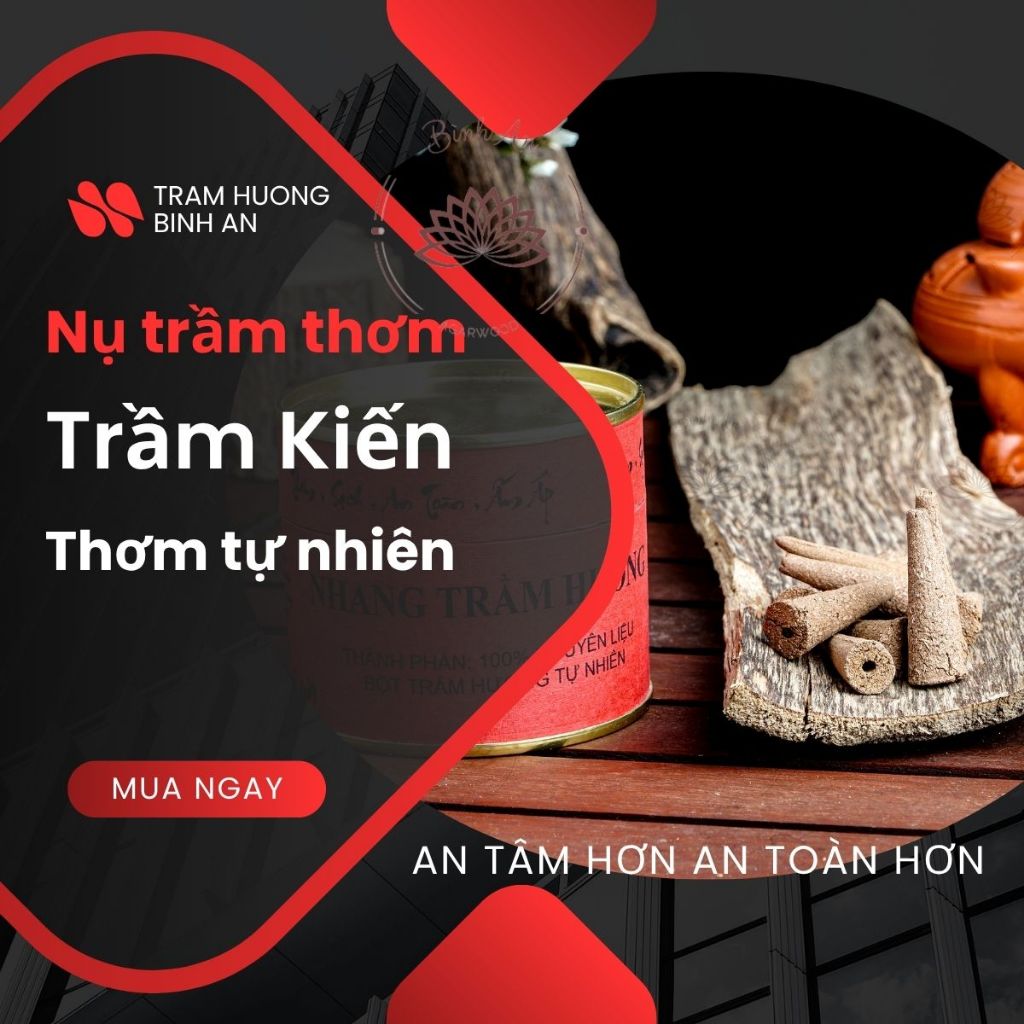 1 nụ trầm mẫu thử được tặng khi mua Vòng tay trầm hương 108 hạt trầm sánh cao cấp tự nhiên nam nữ Trầm Hương Bình An