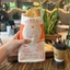 Set 1000 vỏ túi đựng bánh mì pate miệng SOLE giá cực rẻ