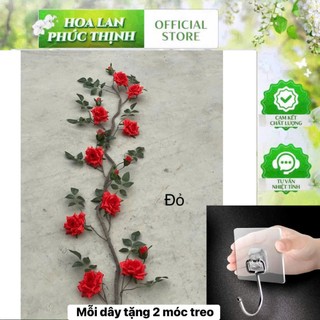 🌹 DÂY HOA HỒNG LEO CỔ – HOA LAN PHÚC THỊNH 🌹