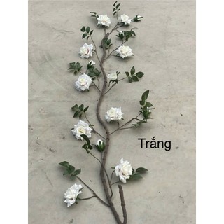 🌹 DÂY HOA HỒNG LEO CỔ – HOA LAN PHÚC THỊNH 🌹