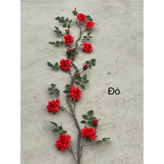 🌹 DÂY HOA HỒNG LEO CỔ – HOA LAN PHÚC THỊNH 🌹