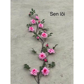 🌹 DÂY HOA HỒNG LEO CỔ – HOA LAN PHÚC THỊNH 🌹