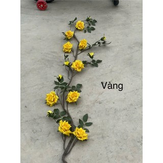 🌹 DÂY HOA HỒNG LEO CỔ – HOA LAN PHÚC THỊNH 🌹