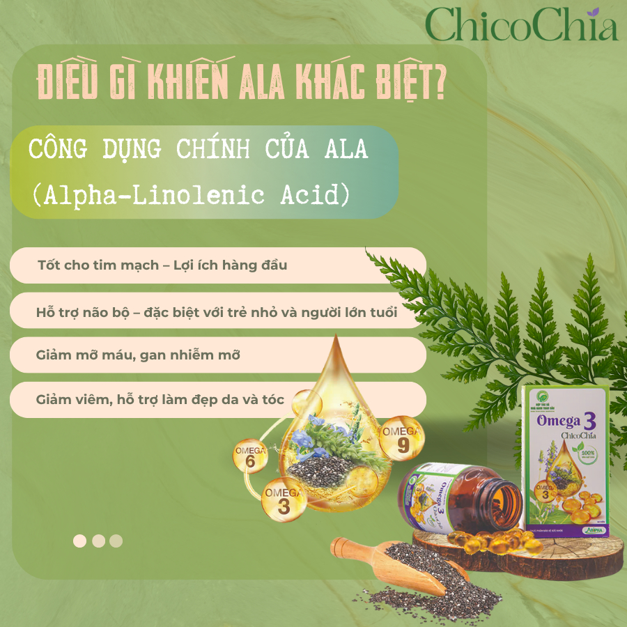 Omega 3 Hạt Chia ChicoChia - Thực Phẩm Bảo Vệ Sức Khỏe