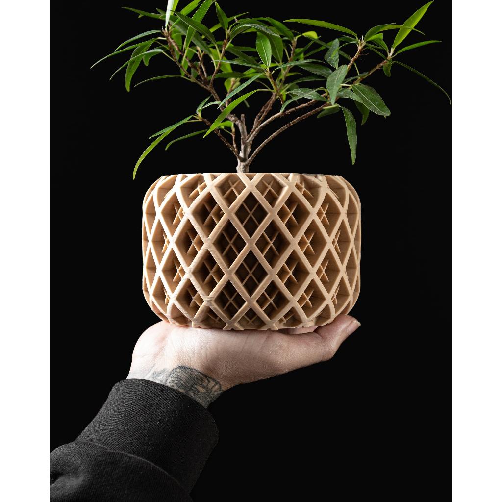 Chậu cây trang trí, tặng kèm nametag (quà tặng) - Mẫu Torio - ArtPrint3D