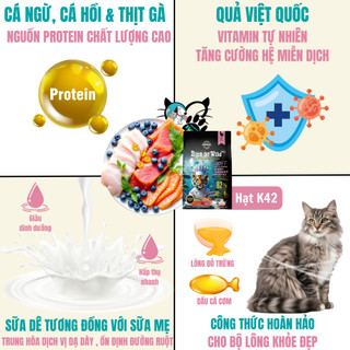 [ Thanh lý ] Thức Ăn Hạt Cho Mèo Bite Of Wild 1kg Mix Topping Dùng Cho Nhiều Lứa Tuổi - Bite of Wild