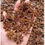 Gói 500g Hoa hồi khô Tây Bắc. Hoa hồi nguyên cánh, thơm đậm, gia vị nấu phở, kho, hầm