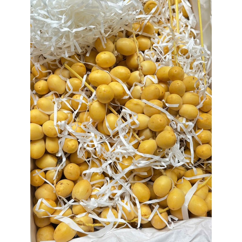 Chà Là Vàng, Trái Tươi Còn Cuốn, Giòn, Ngọt, Chát Nhẹ Bao Ngon