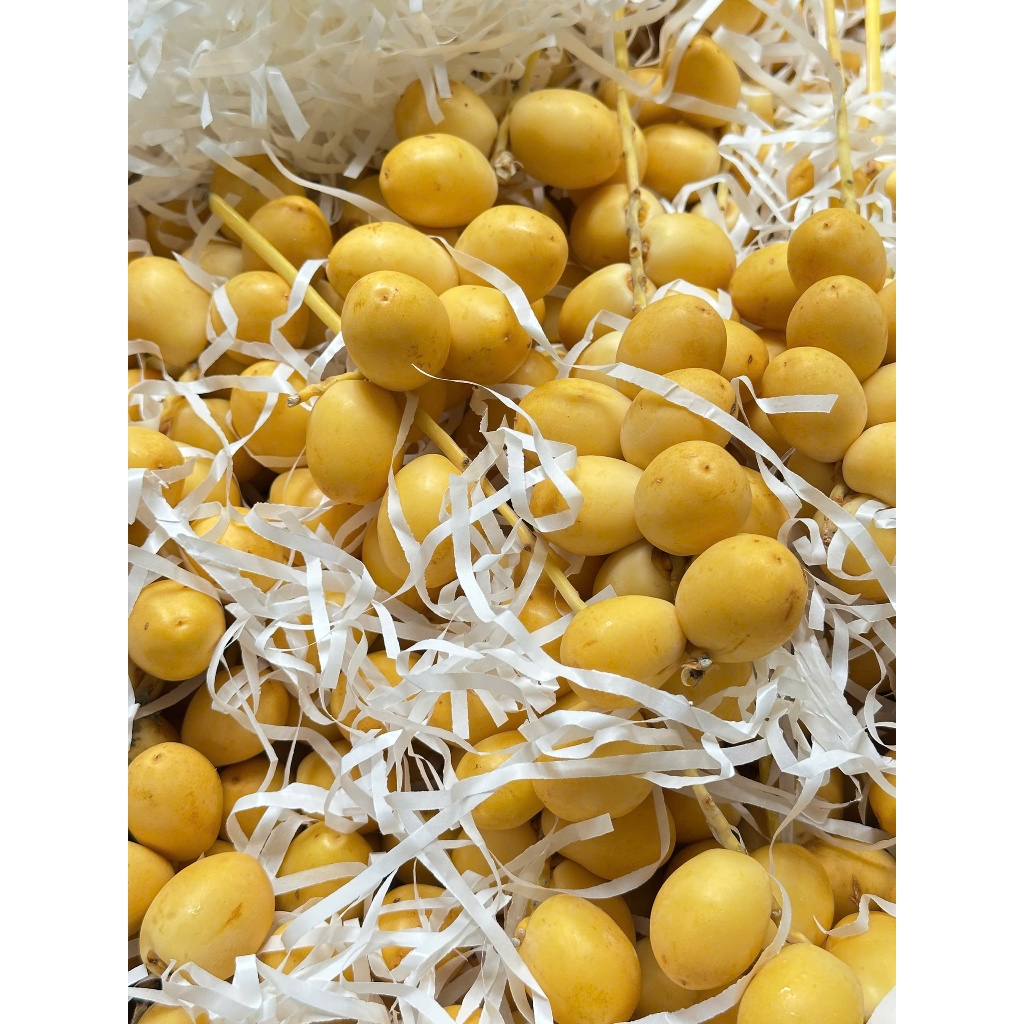 Chà Là Vàng, Trái Tươi Còn Cuốn, Giòn, Ngọt, Chát Nhẹ Bao Ngon