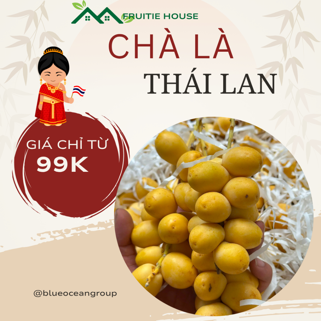 Chà Là Vàng, Trái Tươi Còn Cuốn, Giòn, Ngọt, Chát Nhẹ Bao Ngon
