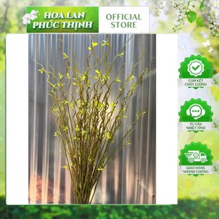 🌿 CÀNH SALIC UỐN LƯỢN TRANG TRÍ - DÀI 105CM 🌿