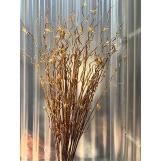 🌿 CÀNH SALIC UỐN LƯỢN TRANG TRÍ - DÀI 105CM 🌿