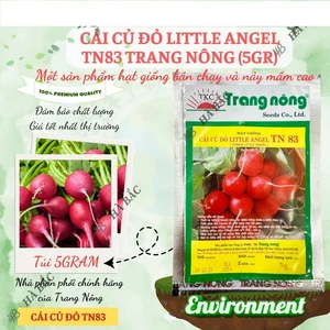 HẠT GIỐNG CẢI CỦ ĐỎ Little Angel TN 83 - CHÍNH HÃNG TRANG NÔNG ( DATE MỚI NHẤT)
