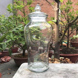 BÌNH THỦY TINH NGÂM RƯỢU KHÔNG VÒI  CHÂN MÂY CAO CẤP