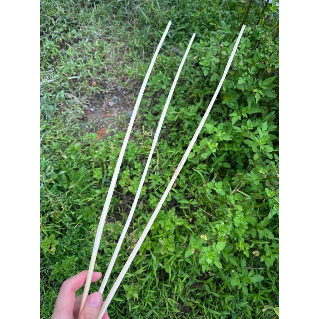 Combo Cây Mây Dẻo Dai Dài 80cm - Dùng Để Trang Trí Sân Vườn