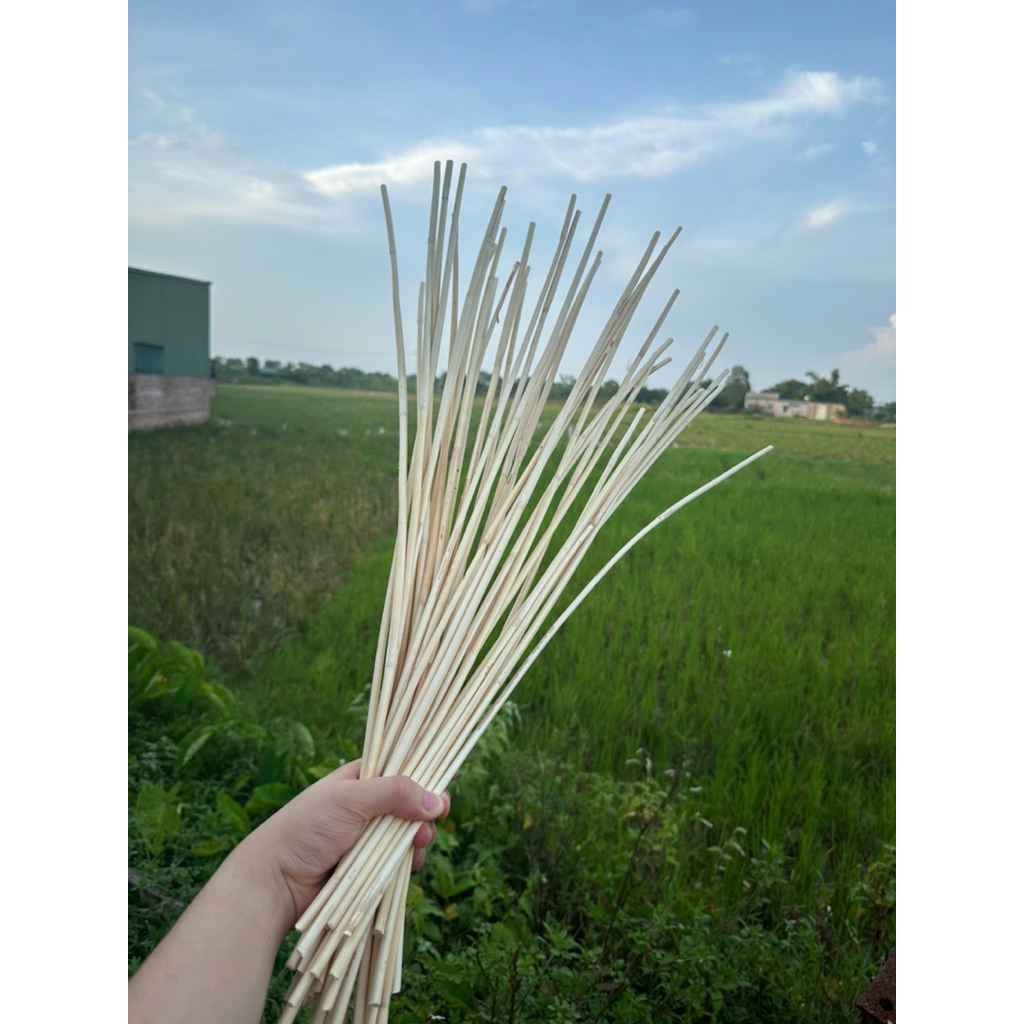 Combo Cây Mây Dẻo Dai Dài 80cm - Dùng Để Trang Trí Sân Vườn