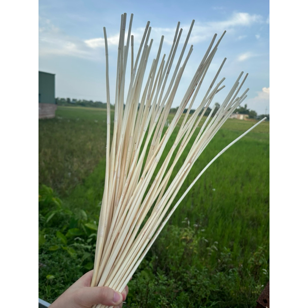 Combo Cây Mây Dẻo Dai Dài 80cm - Dùng Để Trang Trí Sân Vườn