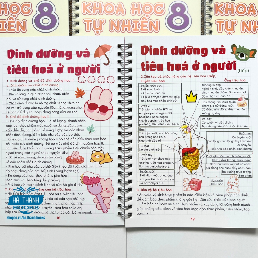 Sổ tay take note Khoa học tự nhiên lớp 8 - Tóm tắt kiến thức, trình bày đẹp, dễ học, dễ nhớ