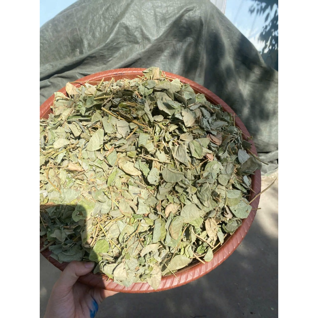 500GR Kim Tiền Thảo Hỗ Trợ Giảm Sỏi Thận, Sỏi Mật, Sỏi Bàng Quang