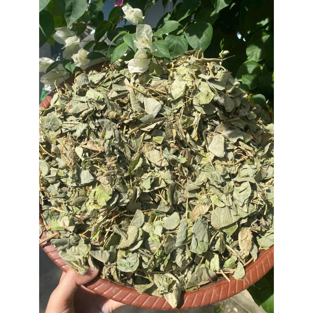 500GR Kim Tiền Thảo Hỗ Trợ Giảm Sỏi Thận, Sỏi Mật, Sỏi Bàng Quang