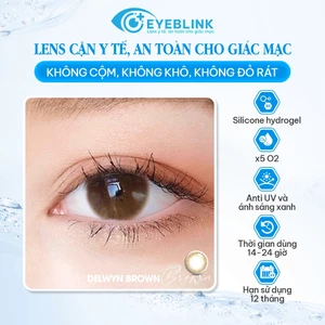 Kính Áp Tròng Màu Nâu Tự Nhiên Delwyn Brown Chất Liệu Silicone Hydrogel Thời Gian Đeo 14–24h Hạn Dùng 12 Tháng EyeBlink