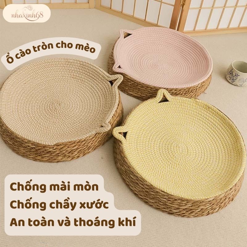Thảm Nằm Cho Mèo Kèm Đồ Chơi – Làm Mát, Cào Móng, Giúp Mèo Vui Chơi Khỏe Mạnh