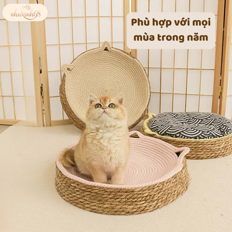 Thảm Nằm Cho Mèo Kèm Đồ Chơi – Làm Mát, Cào Móng, Giúp Mèo Vui Chơi Khỏe Mạnh
