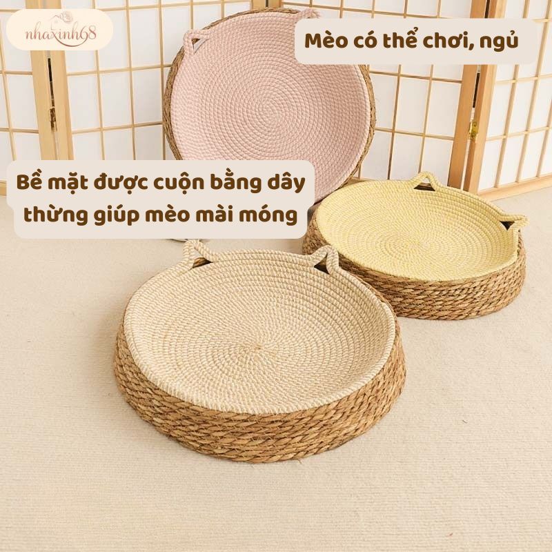 Thảm Nằm Cho Mèo Kèm Đồ Chơi – Làm Mát, Cào Móng, Giúp Mèo Vui Chơi Khỏe Mạnh