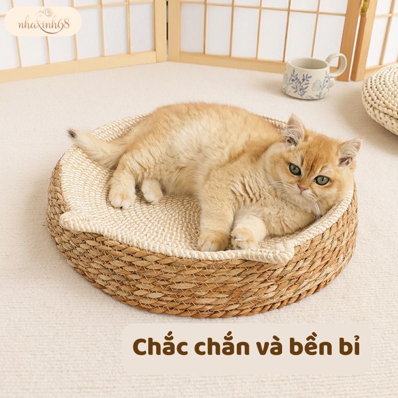 Thảm Nằm Cho Mèo Kèm Đồ Chơi – Làm Mát, Cào Móng, Giúp Mèo Vui Chơi Khỏe Mạnh