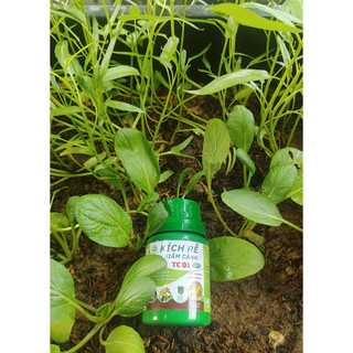 KÍCH RỄ, GIÂM CÀNH TC01 - CHUYÊN DÙNG CHO MAI VÀNG, CÂY CẢNH, BONSAI, RAU MÀU VÀ CÁC LOẠI CÂY CÔNG NGHIỆP (100ML)