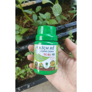 (HÀNG TẶNG KHÔNG BÁN) KÍCH RỄ, GIÂM CÀNH TC01