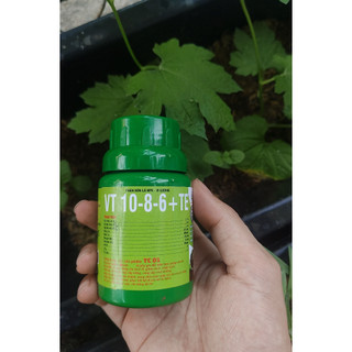 (HÀNG TẶNG KHÔNG BÁN) KÍCH RỄ, GIÂM CÀNH TC01