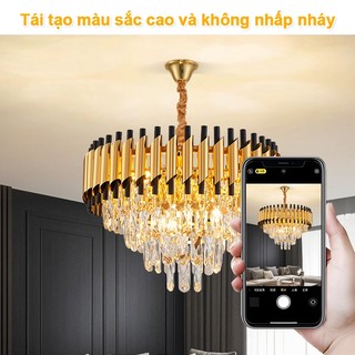 Đèn Chùm, Đèn Chùm Tân Cổ Điển 874 Sang Trọng Trang Trí Phòng Khách Tặng Kèm Bóng (Bảo Hành 3 Năm)